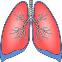 ফুসফুস পরিষ্কার করার পদ্ধতি on 9Apps