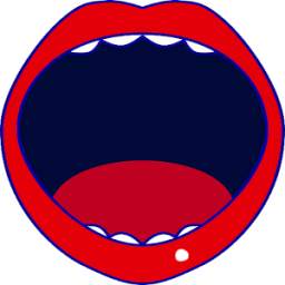 Mouth Ulcers Cure 1.0