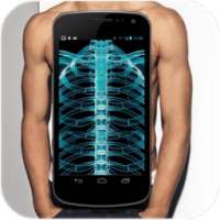 X-ray Body Scanner Simulator