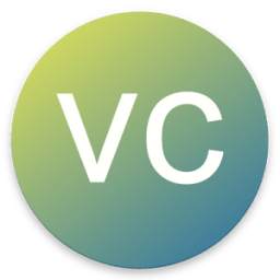 Venture Capital 1.0