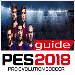 ikon Guide PES l 2017 Now