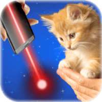 Laser for cats