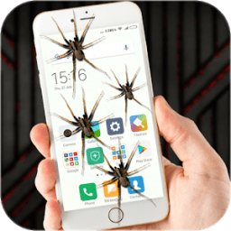 ikon Spider on Screen Funny Joke