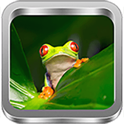 Frog Sound New иконка