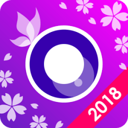 ikon YouCam Perfect Selfie 2018