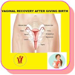 How to Recover your Vaginal size after Birth