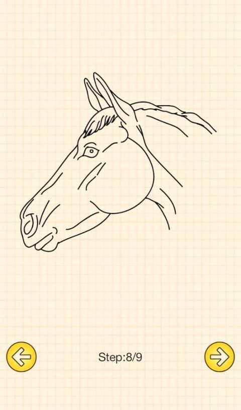 How To Draw Horses screenshot 2