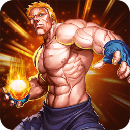 Kung Fu Fury: Street Fight 3D icon