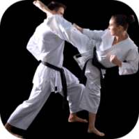 Karate Training - Karate Classes