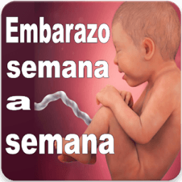 Embarazo Semana a Semana आइकन