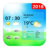 ikon Weather Forecast Pro