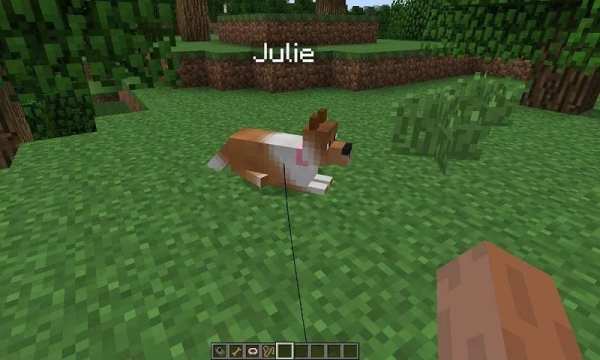 Mod Dogs for MCPE screenshot 1