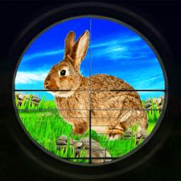Rabbit Hunting 3D