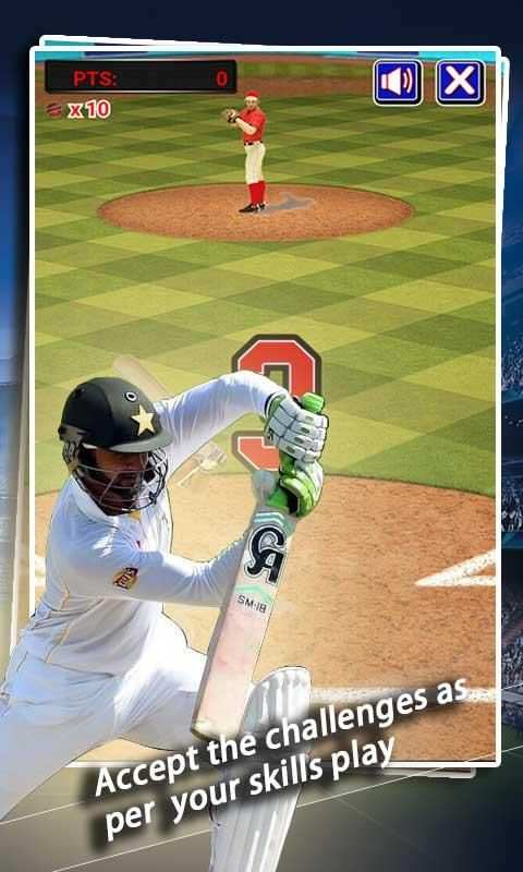Crazy Cricket screenshot 5