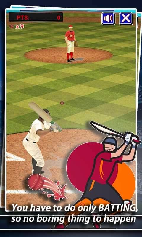 Crazy Cricket screenshot 1