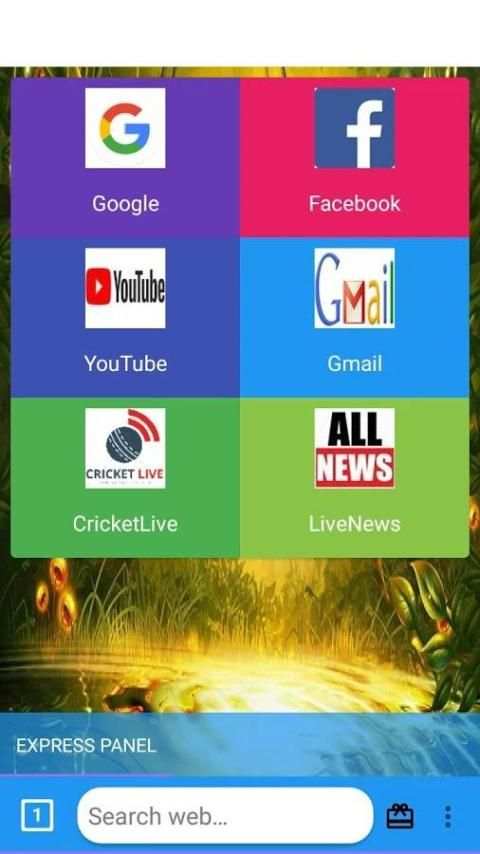 FastCrome4G Browser screenshot 3