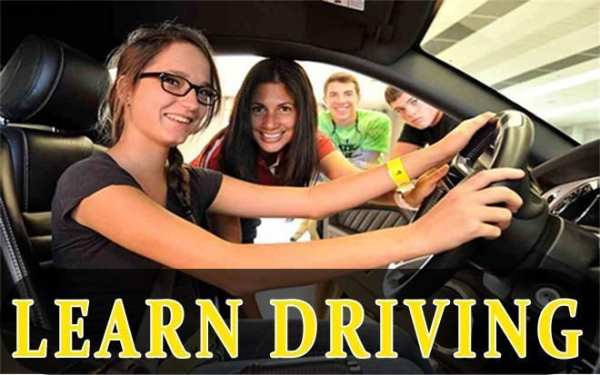 Learn Driving 2017 скриншот 3