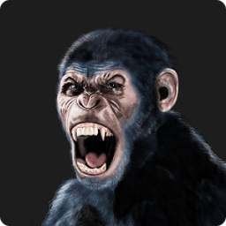 Angry Gorilla Wild Hunt 1.0