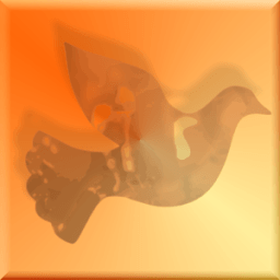 ikon Walk the Walk Daily