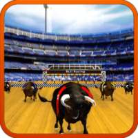 Bull Racing Fever