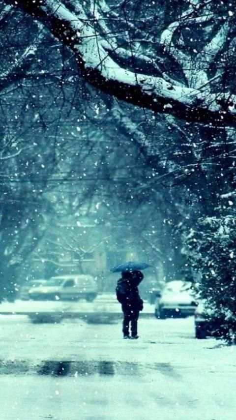 Snow Wallpapers скриншот 8