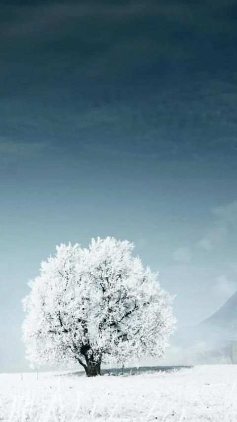 Snow Wallpapers скриншот 10