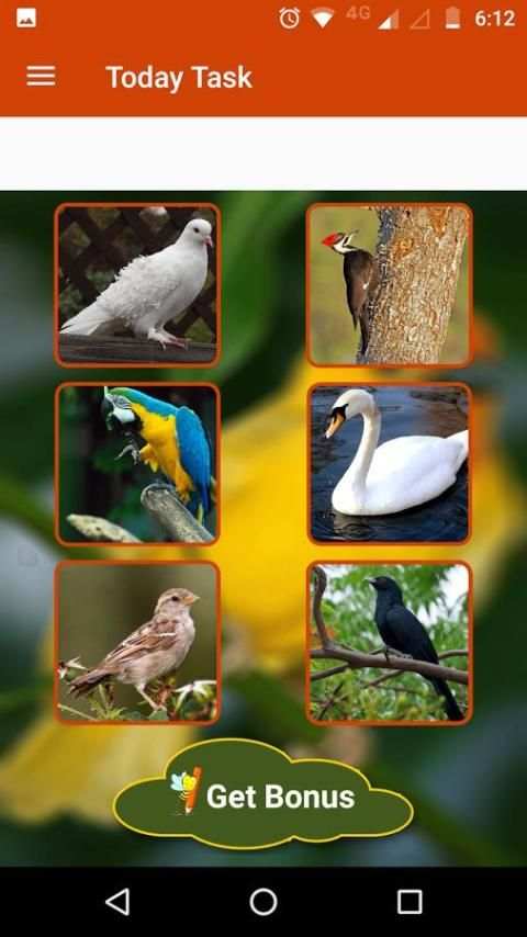 Bird Sound स्क्रीनशॉट 2