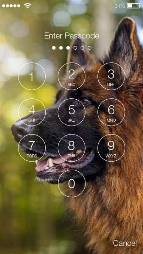 Clever German Shepherd Dog HD Lock Screen 5 تصوير الشاشة