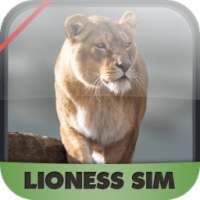 Lioness Survival Adventure 3D