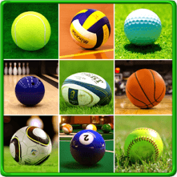 ikon Sports Balls
