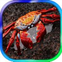 Crab Keyboard Theme on 9Apps