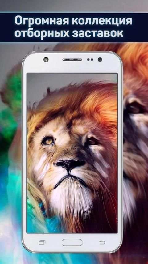 Обои и заставки HD