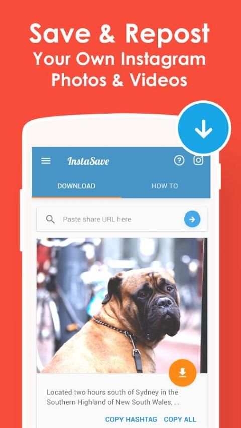 InstaSave - Download Instagram Video & Save Photos screenshot 2
