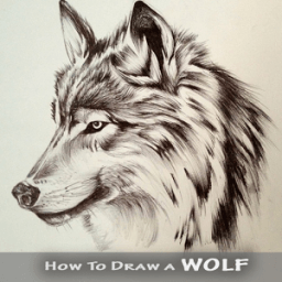 ikon Wolf Drawing