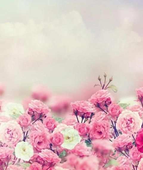 Flowers Wallpaper скриншот 4