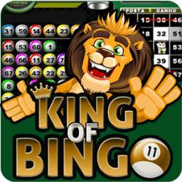 King of Bingo - Video Bingo