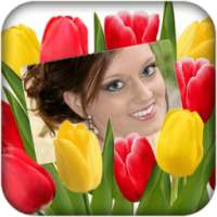 Tulip Photo Frames on 9Apps