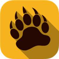 New TunnelBear VPN Review