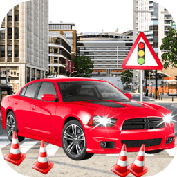 Driving School Parking Adventure Simulator icon