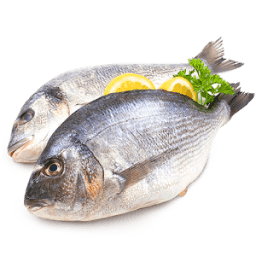 Fish Recipes أيقونة