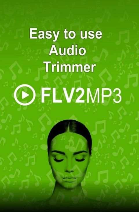 FLV2MP3-Converter screenshot 1