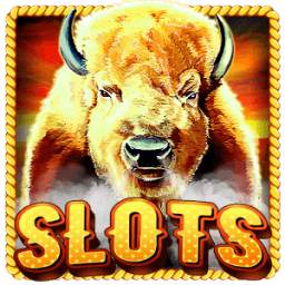 Slot Machine : Buffalo Slots