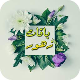 ورود متحركة 2.0