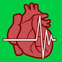 Cardiovascular System 1.0