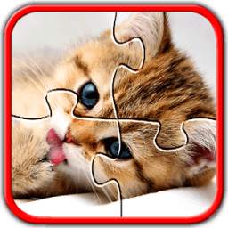 Kitten Jigsaw Puzzles 1.0.0