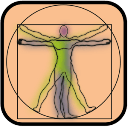 Test de Anatomía иконка