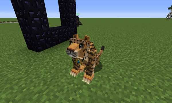 Mod Big Cats screenshot 2