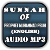 SUNNA - Prophet (S A W)'s Path on 9Apps