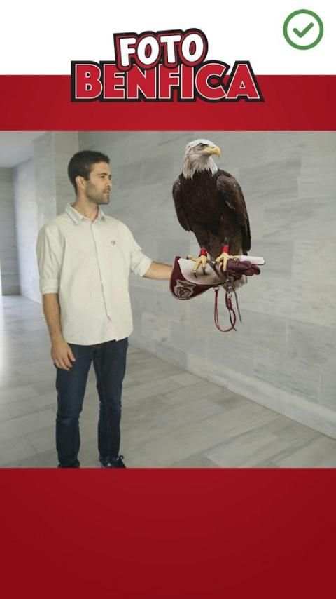 Foto Benfica screenshot 1