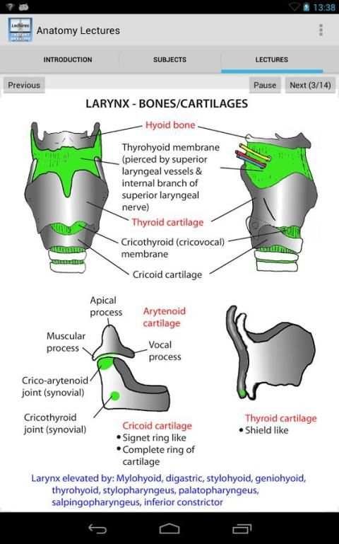 Anatomy Lectures screenshot 1